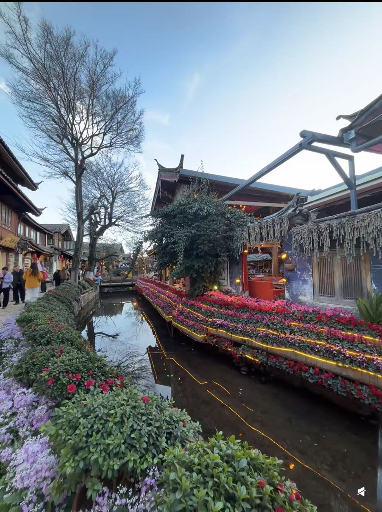 古城水道旁盛開的花朵與街景